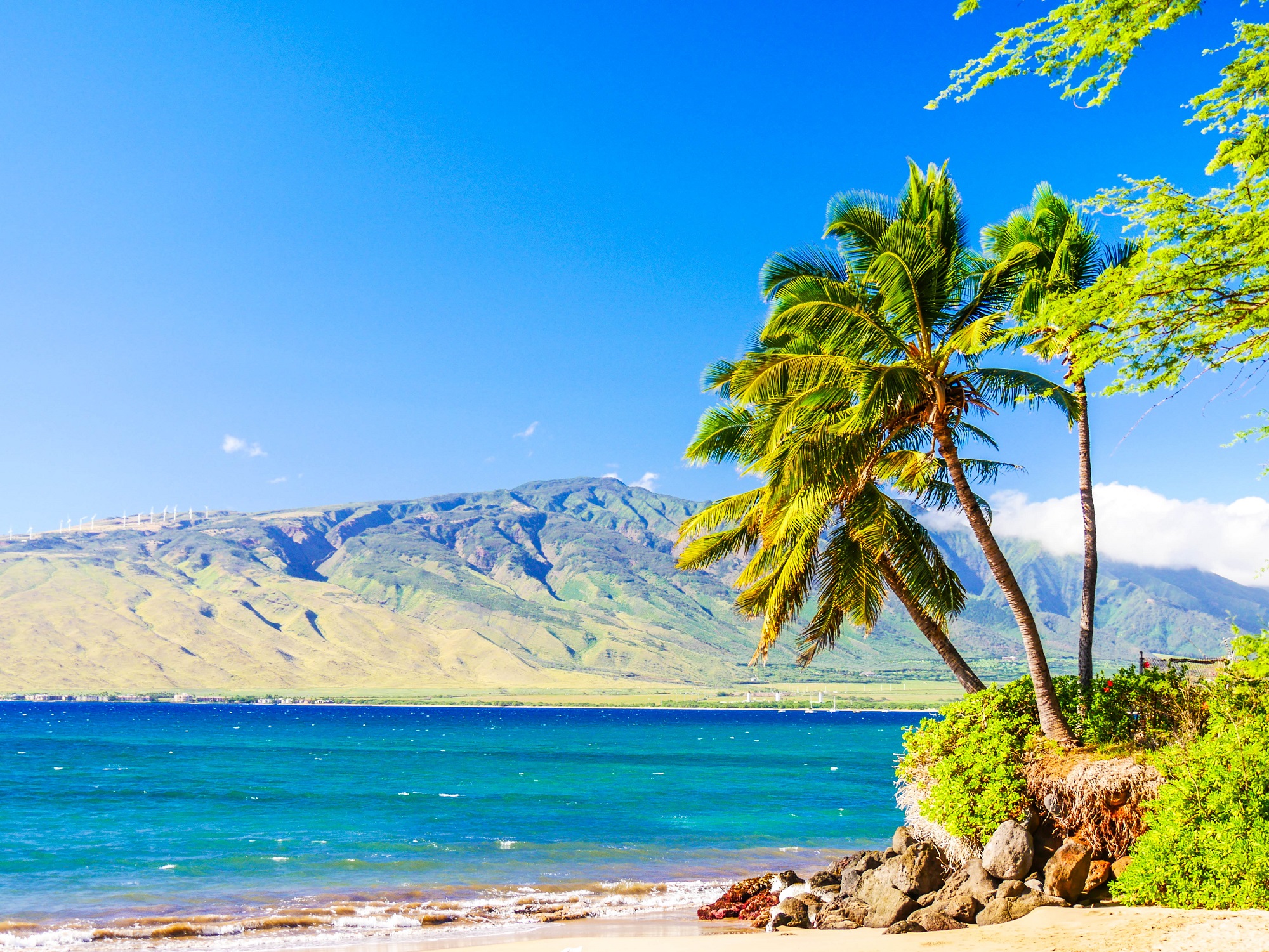 Download 2 chambres en bord de mer au nord plage de myrte Free