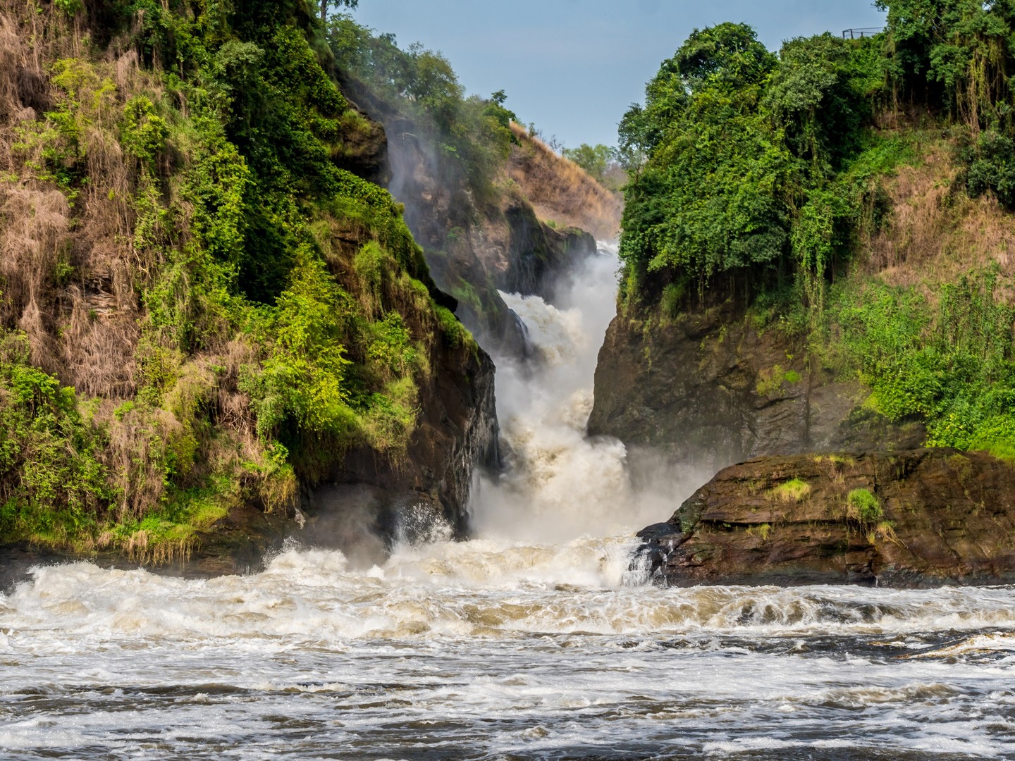 Voyager en Ouganda : Safari au Parc National de Murchison Falls